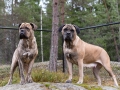 Tillsammans 2 (1)