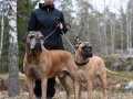 Tillsammans 3