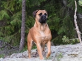 cleo1