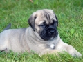 Lotta 6 weeks